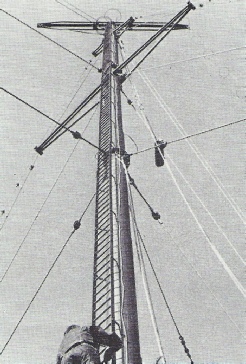 Aerial mast